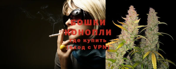 ГАЛЛЮЦИНОГЕННЫЕ ГРИБЫ Липки