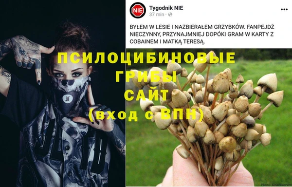 каннабис Абаза