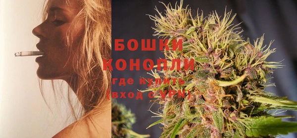 ГАЛЛЮЦИНОГЕННЫЕ ГРИБЫ Липки