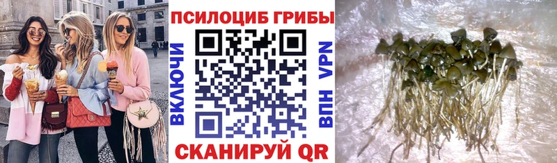 даркнет формула  купить наркоту  Монино  Псилоцибиновые грибы прущие грибы 